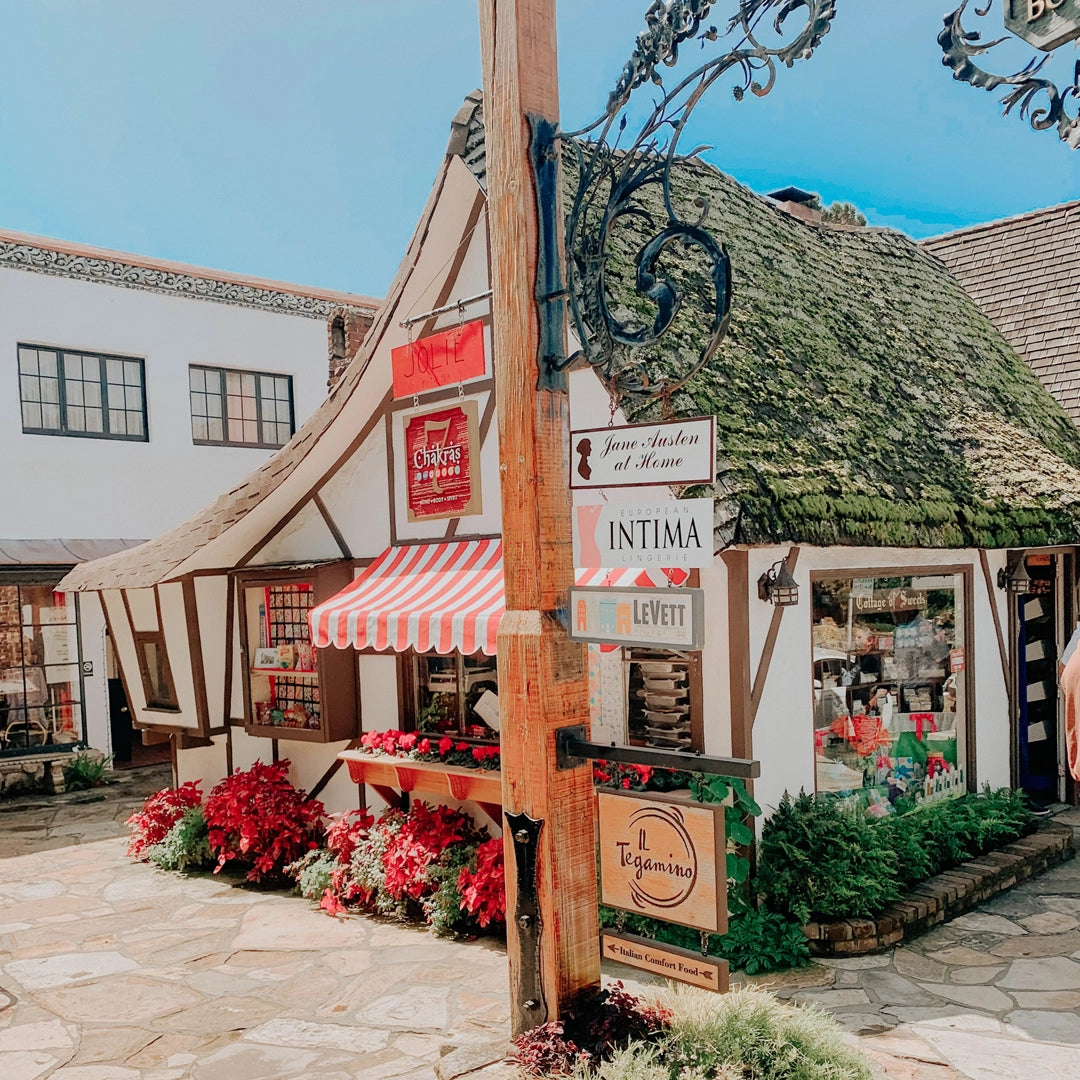 3-Day Pacific Coast Highway Small Group Tour | San Francisco to Los Angeles or Reverse