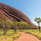 Uluru-Mala Walk Tour