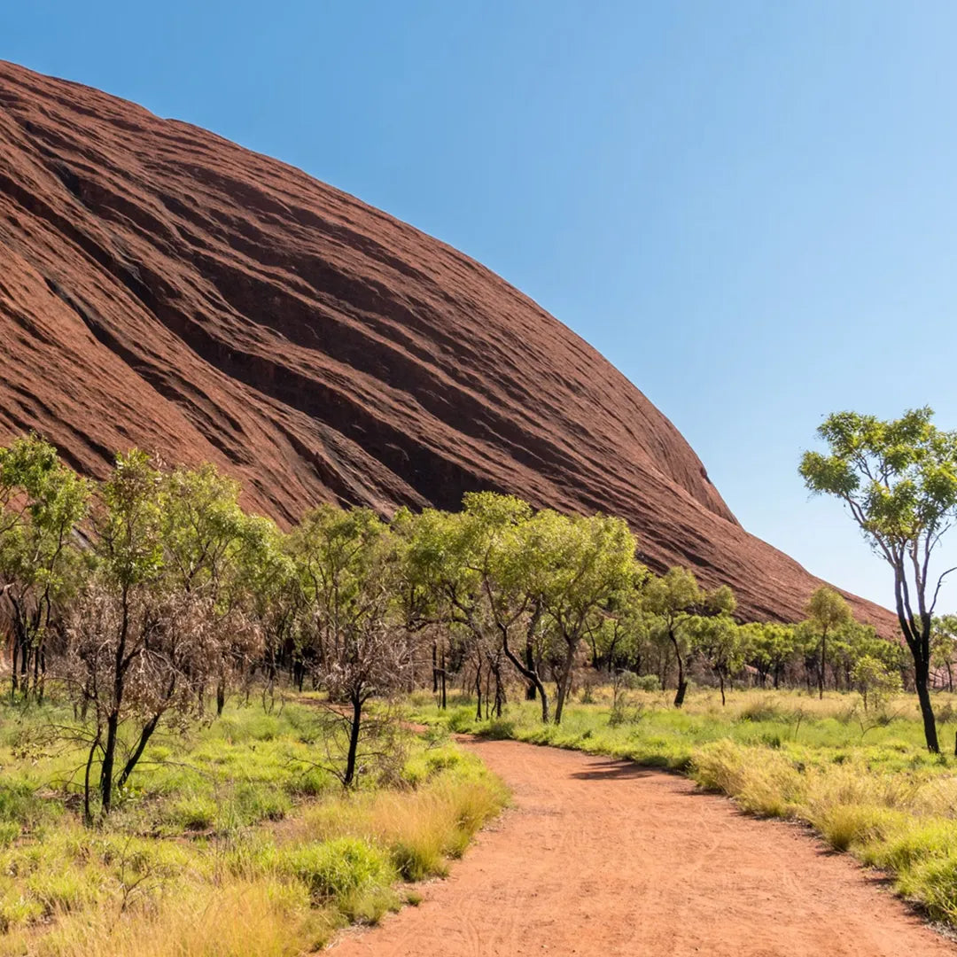 Uluru-Mala Walk Tour