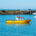 6-Day VIP South Island Tour Small Group Luxury Adventure in New Zealand