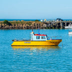 10-Day Ultimate New Zealand South & North Islands Tour