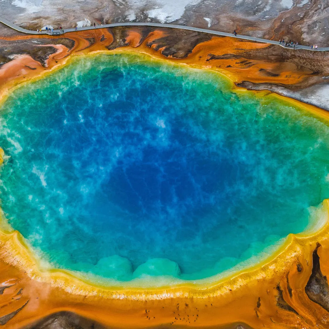 Yellowstone Private Chauffeur Charter Tour from Salt Lake City