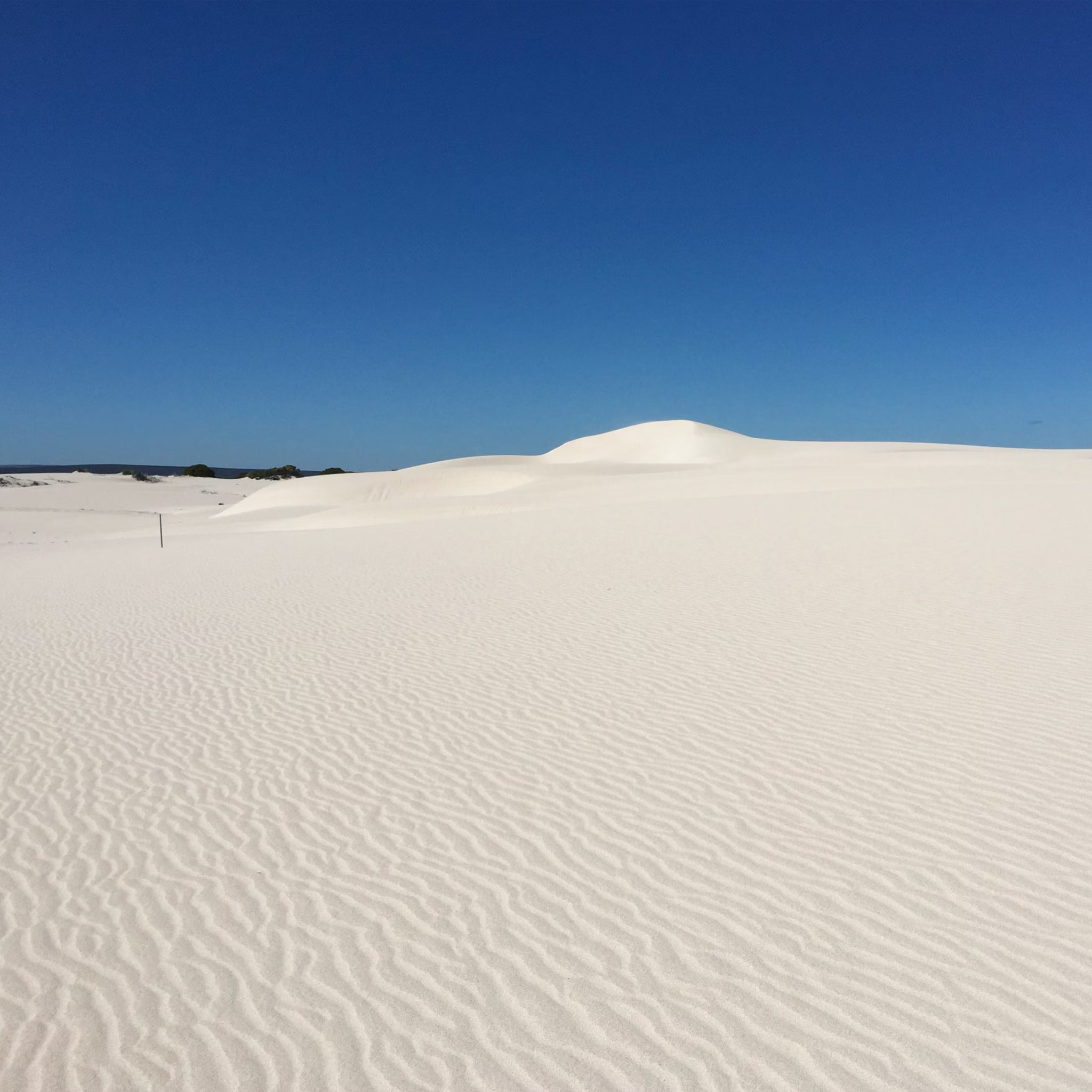2-Day Western Australia Adventure Pink Lake and More