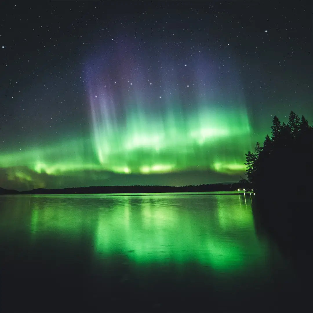 7-Day Alaska Northern Lights Classic Tour AEX