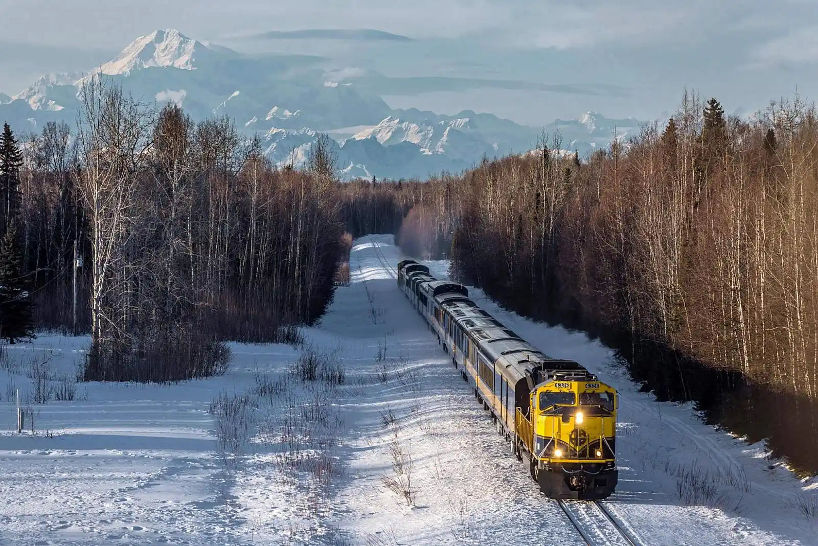 7-Day Alaska Northern Lights Classic Tour AEX