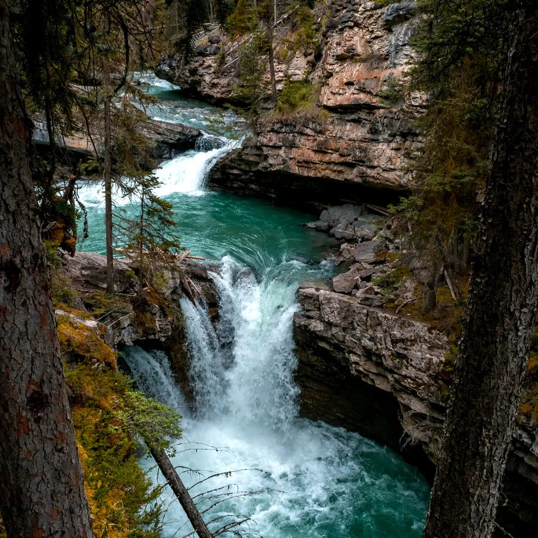 5-Day Banff Small Group Tour