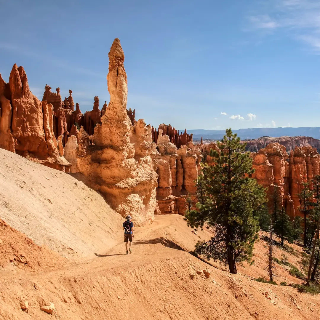 6-Day Yellowstone Small Group Tour from Las Vegas with Antelope Canyon Option