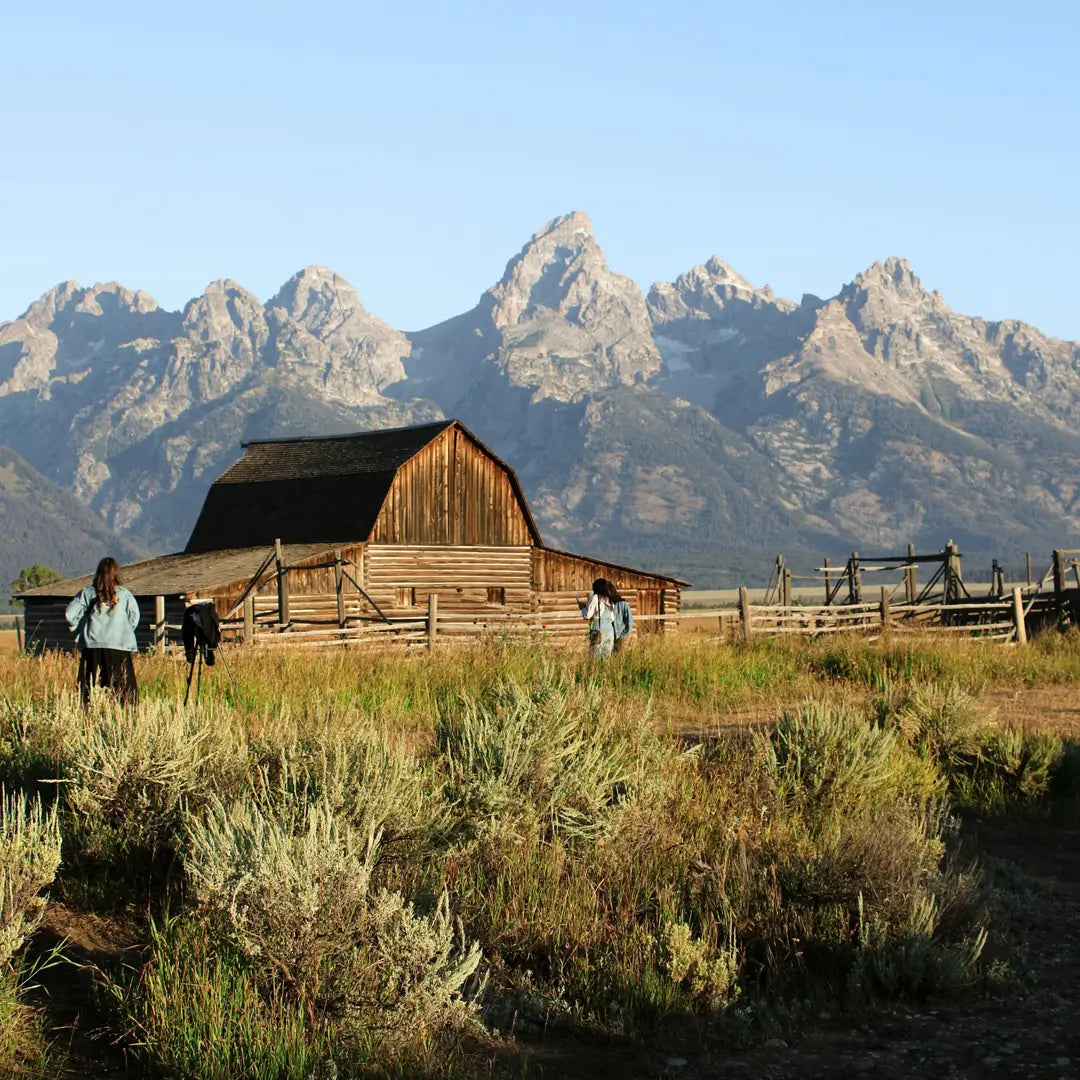 Yellowstone National Park Tours & Wildlife Adventures
