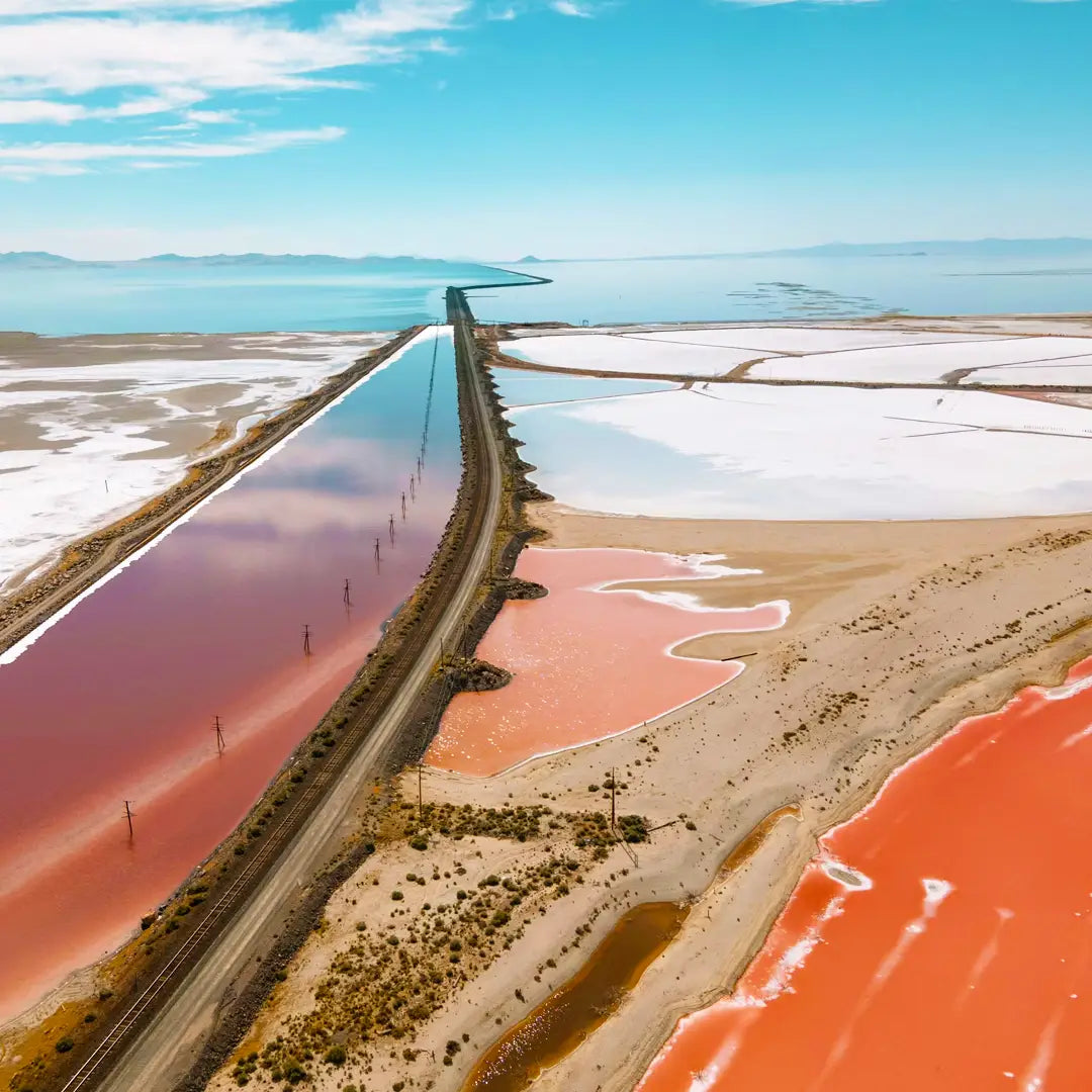 8-Day Yellowstone Immersive Nature Tour| From Los Angeles To Las Vegas | The most comprehensive and longest southern loop