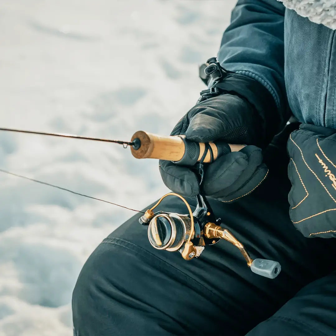 5-Day Alaska Northern Lights Classic Tour AEX