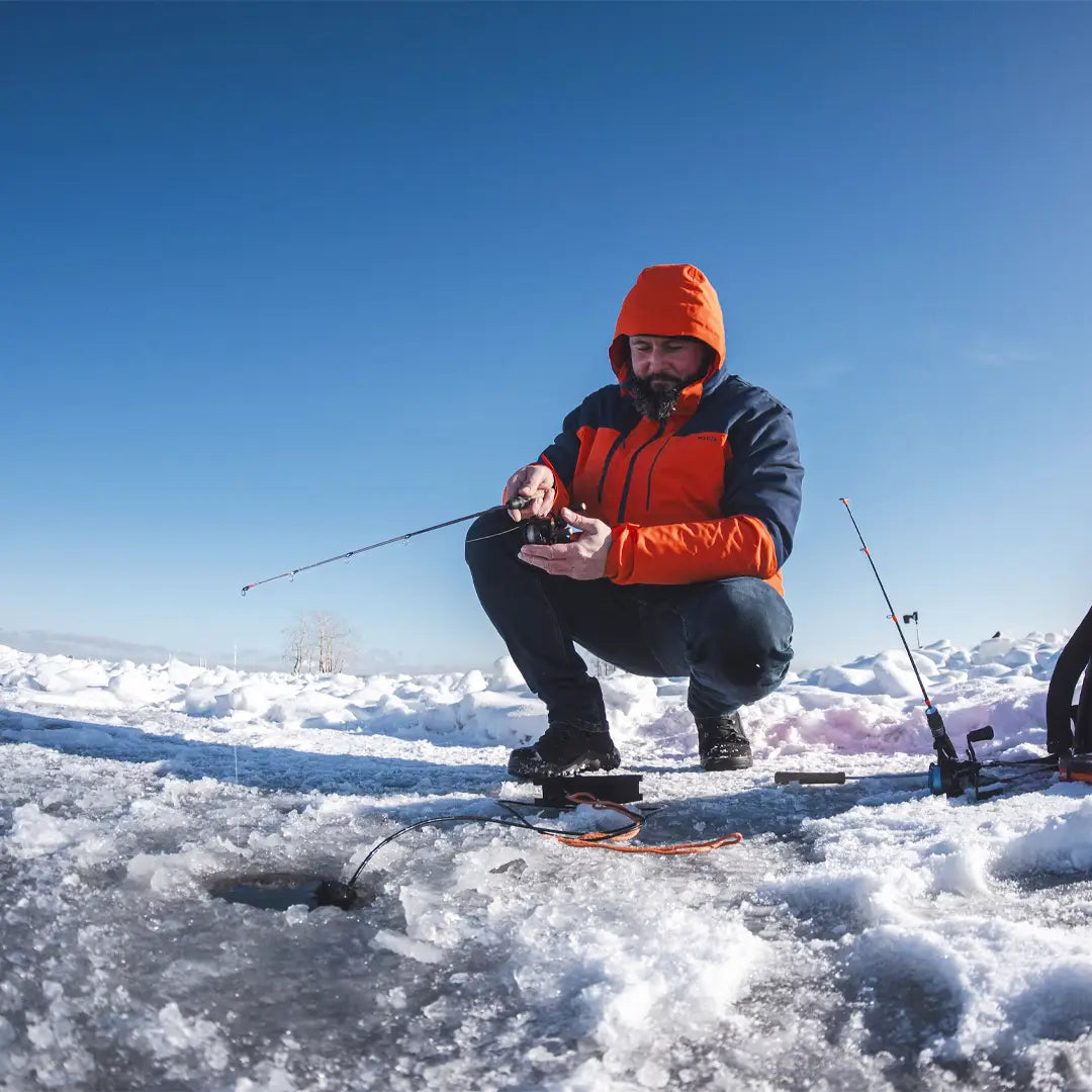 7-Day Alaska Northern Lights Classic Tour AEX