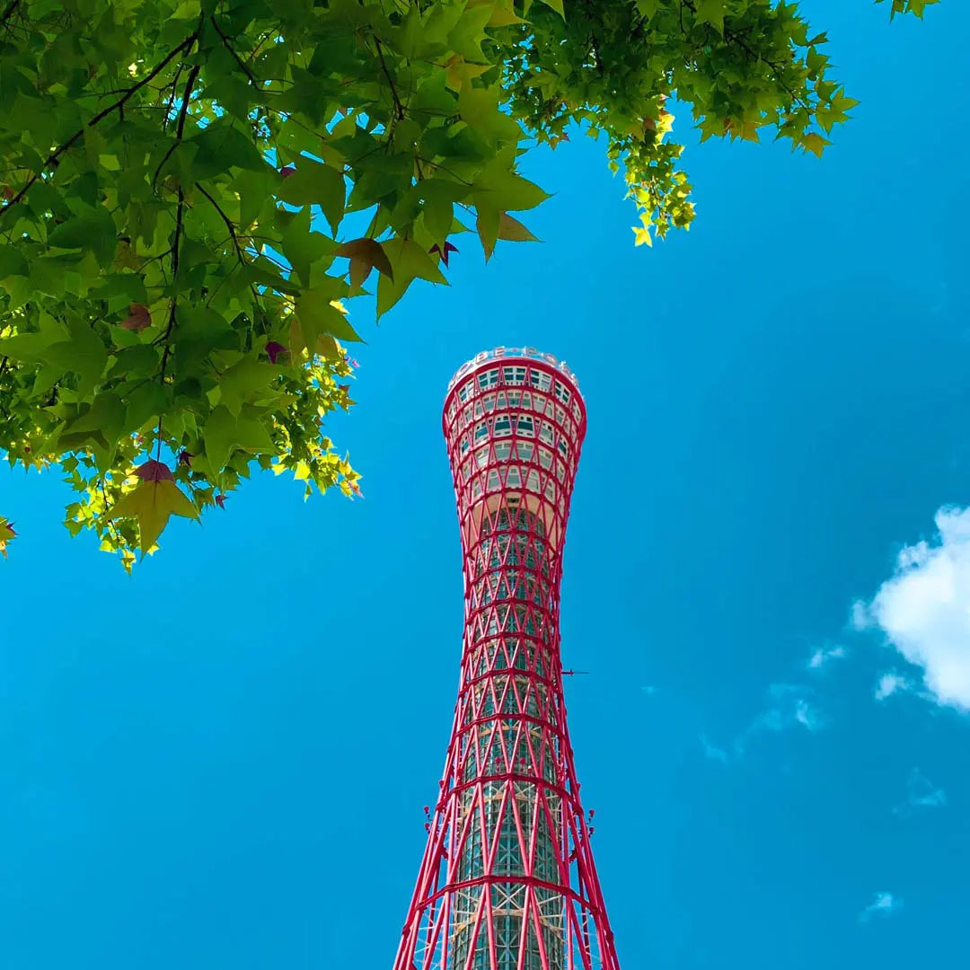 Japan Small Group Tours & Private Chauffeur Service