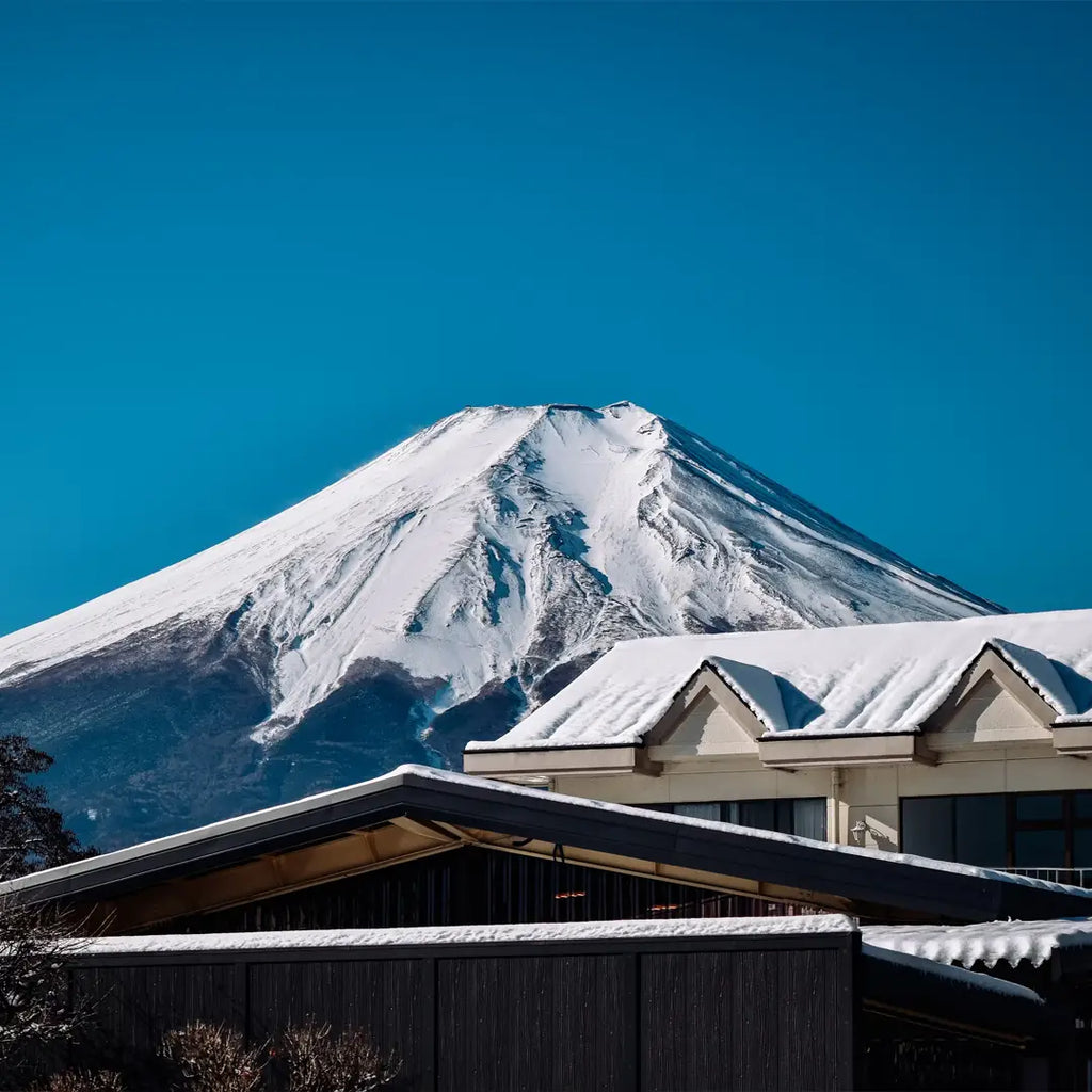 12 Days Japan Winter Escape: Shrines, Snow & Serenity