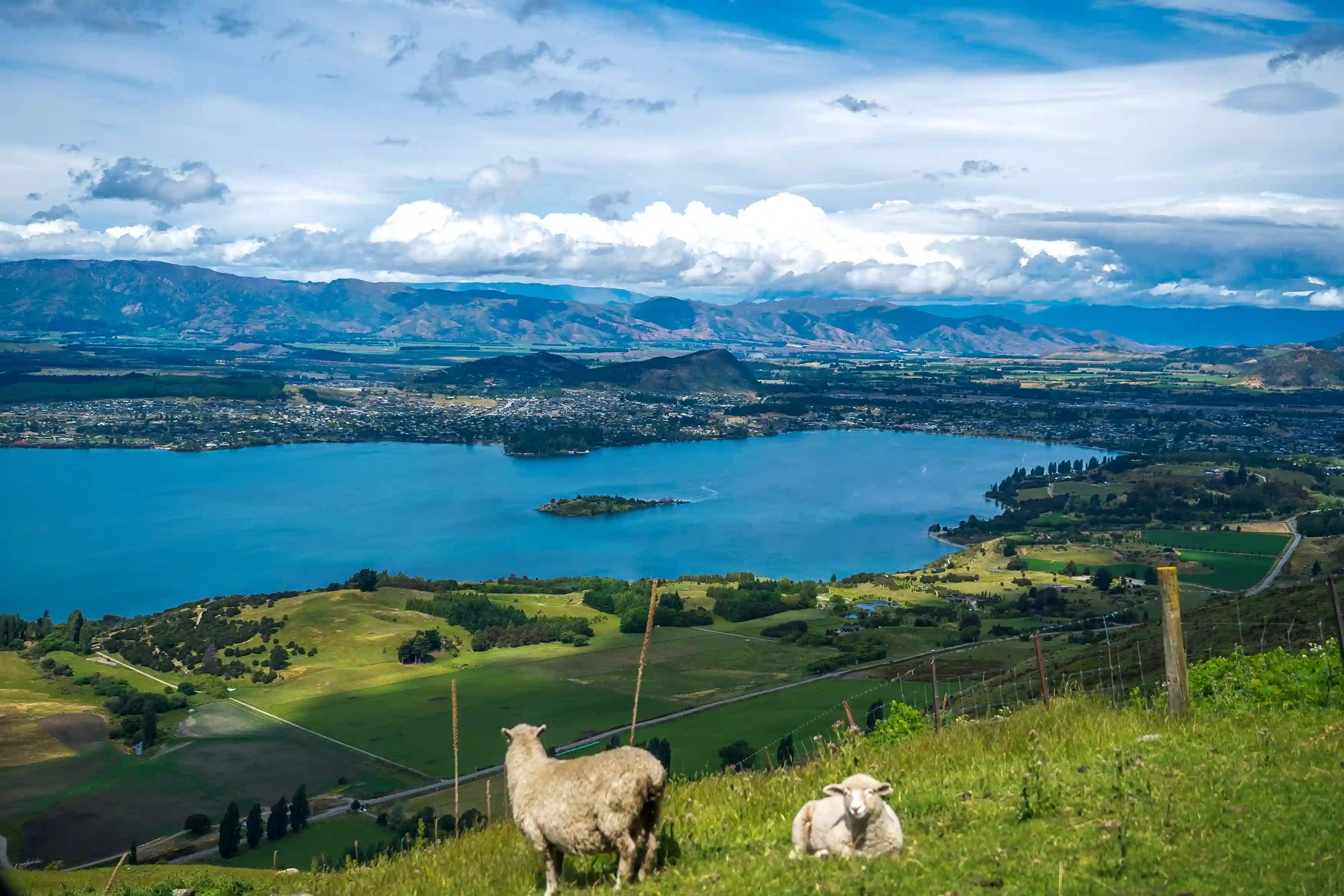 11-Day New Zealand Deep Tour