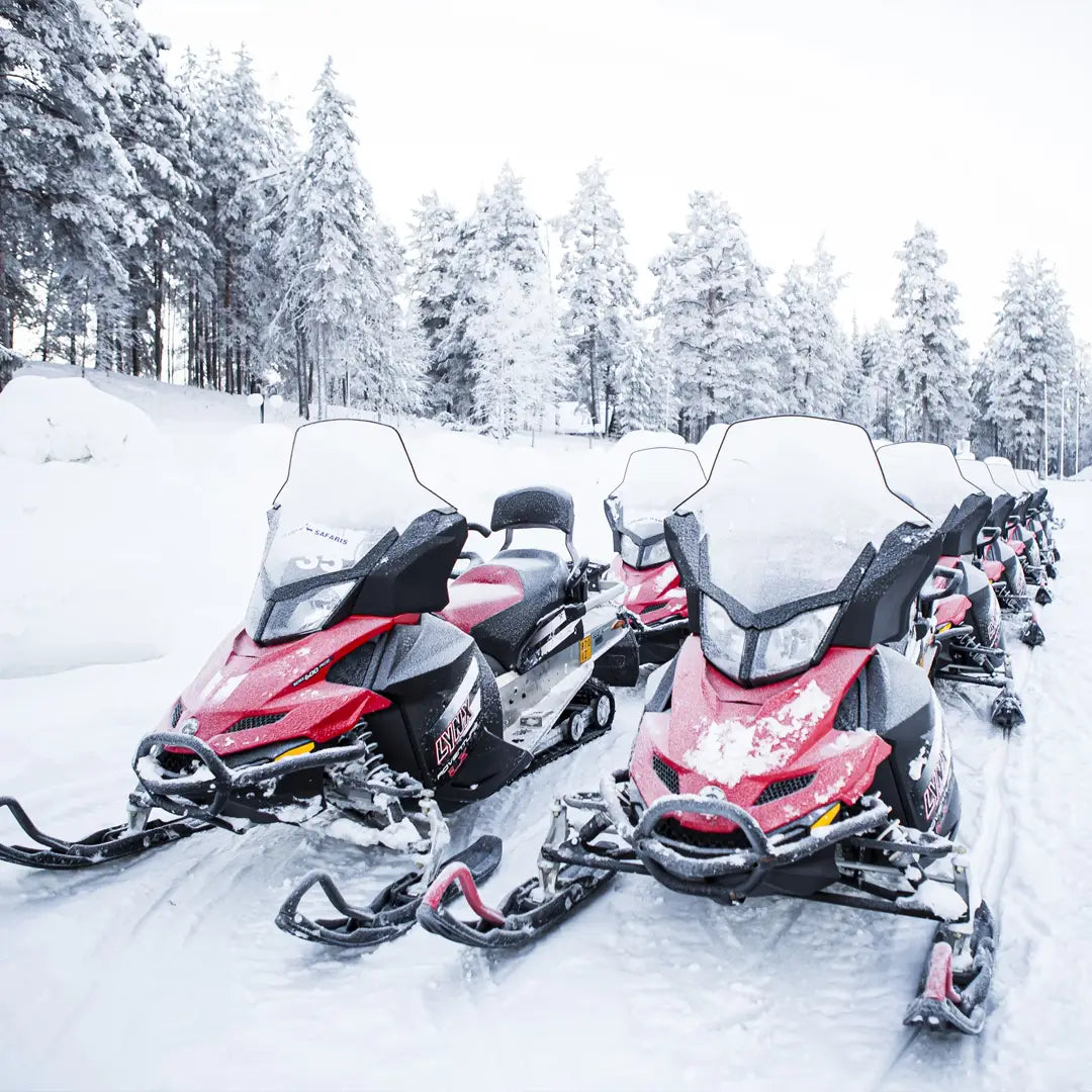 7-Day Alaska Northern Lights Classic Tour AEX