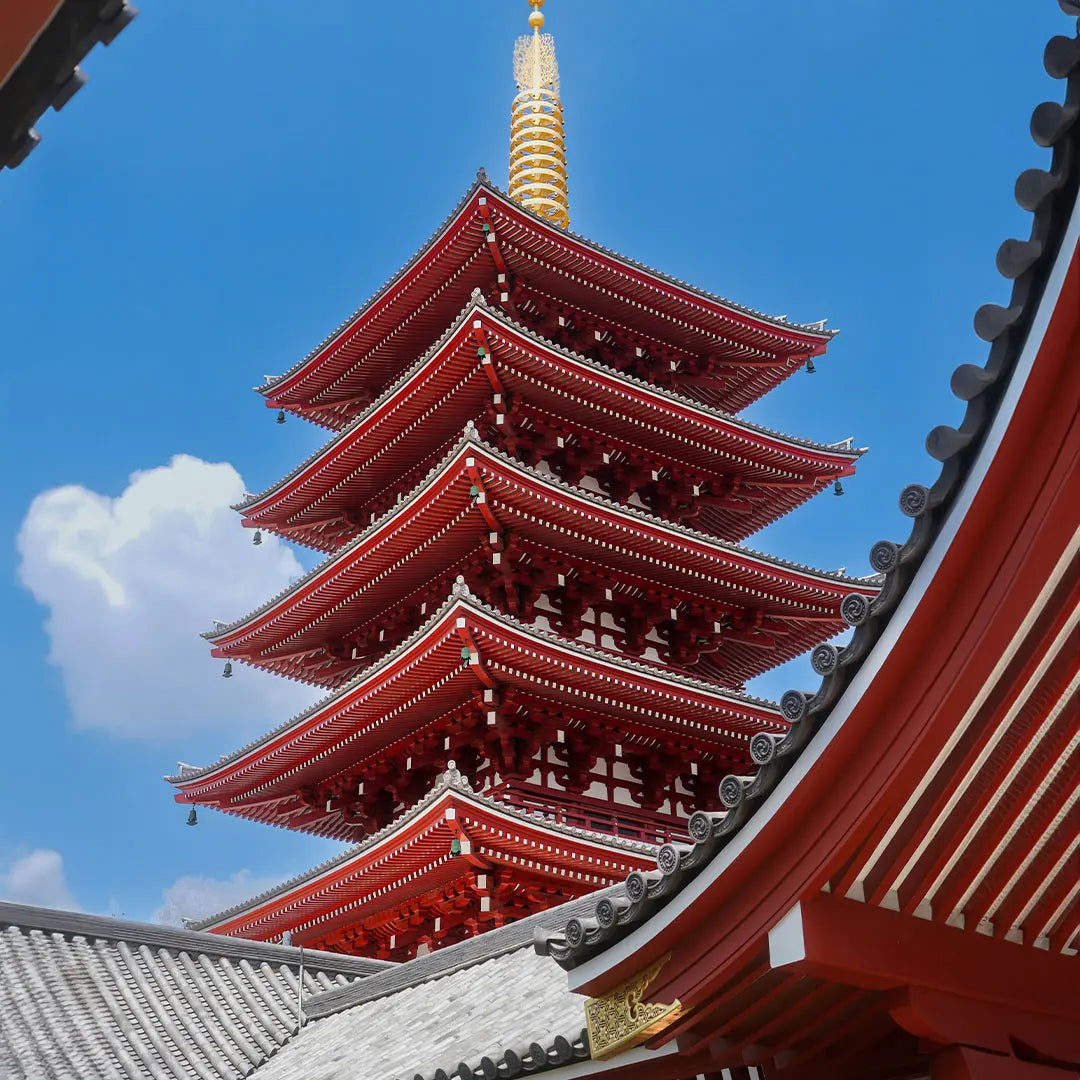 Japan Small Group Tours & Private Chauffeur Service