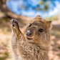 Explore Western Australia: 6-Day Panorama Tour Adventure