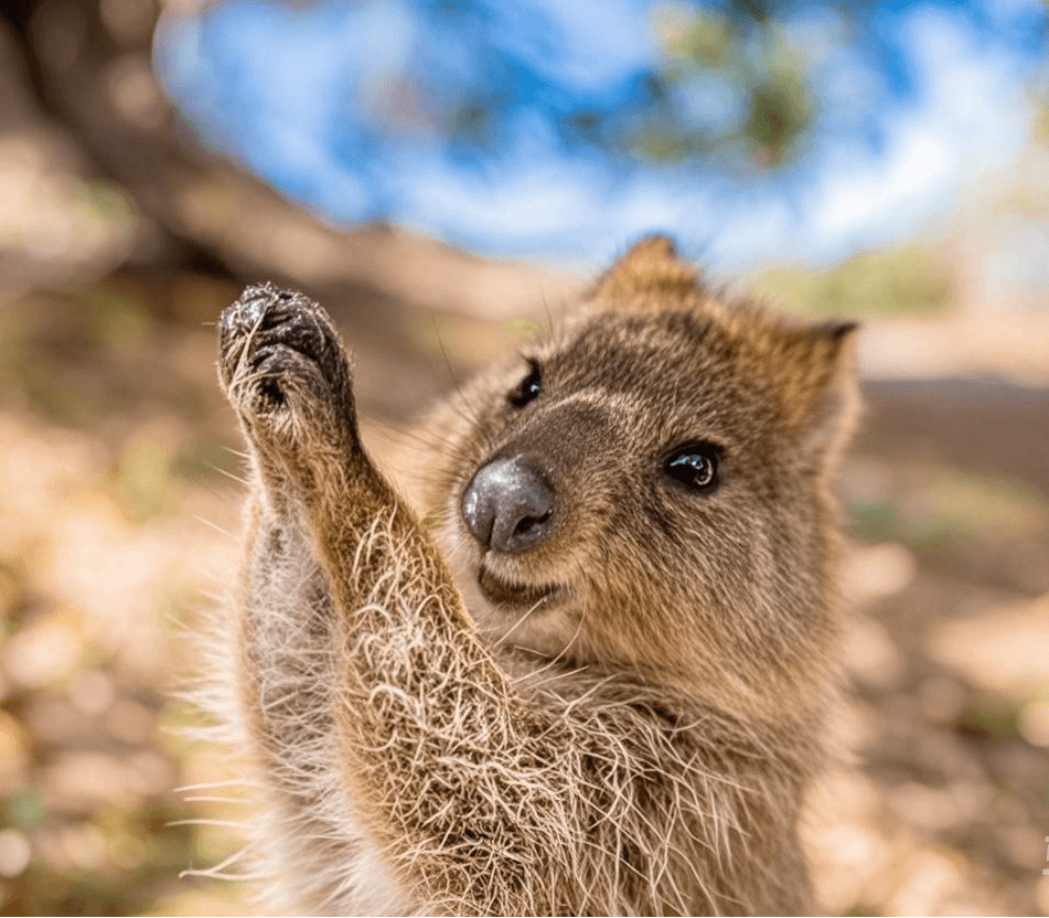 6-Day Western Australia Panorama Tour Adventure