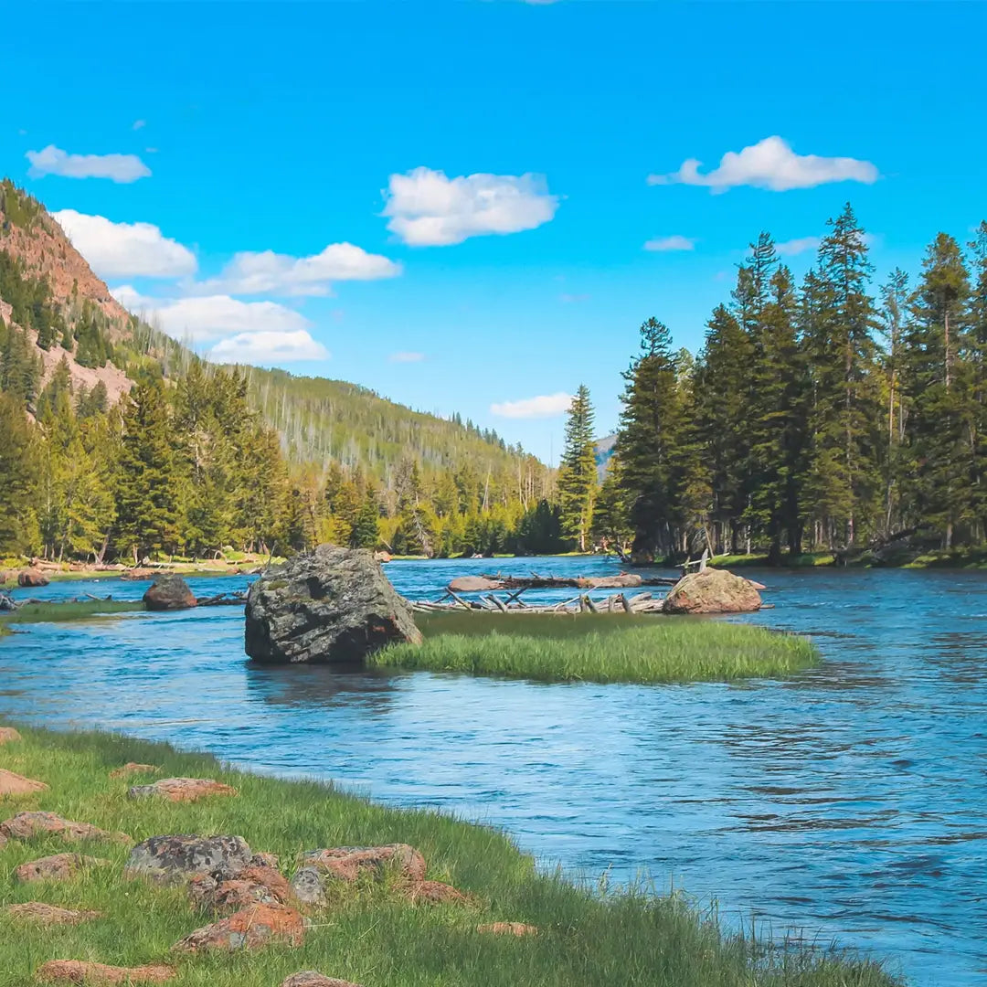 Yellowstone & Grand Teton in Depth: Geothermal Wonders & Alpine Scenery