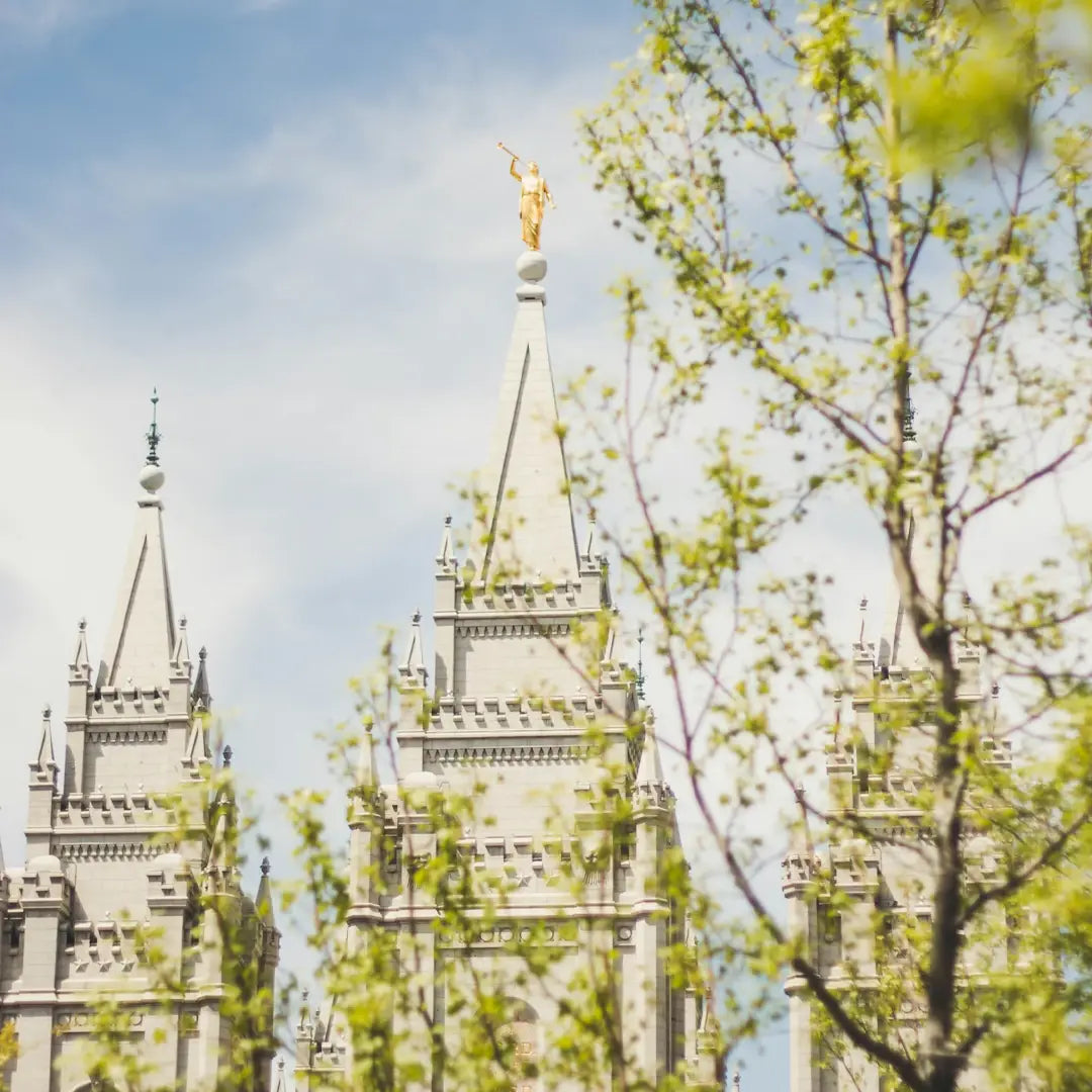 8-Day Yellowstone Immersive Nature Tour| From Los Angeles To Las Vegas | The most comprehensive and longest southern loop