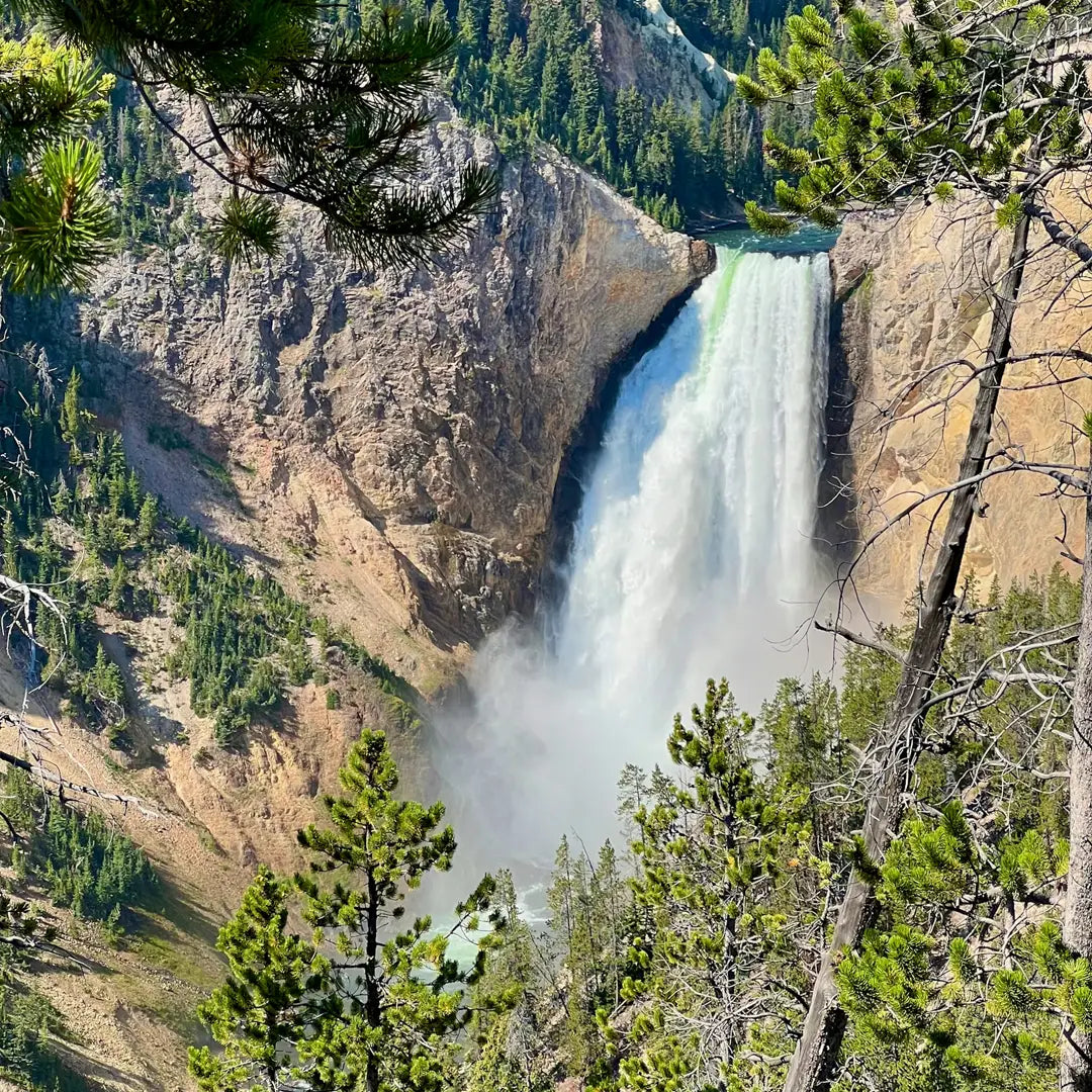 Yellowstone & Grand Teton in Depth: Geothermal Wonders & Alpine Scenery