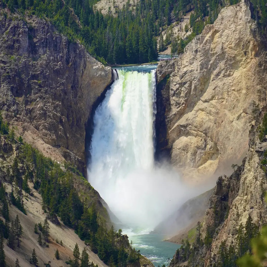 Yellowstone Core Experience: Old Faithful Lodge & Grand Teton
