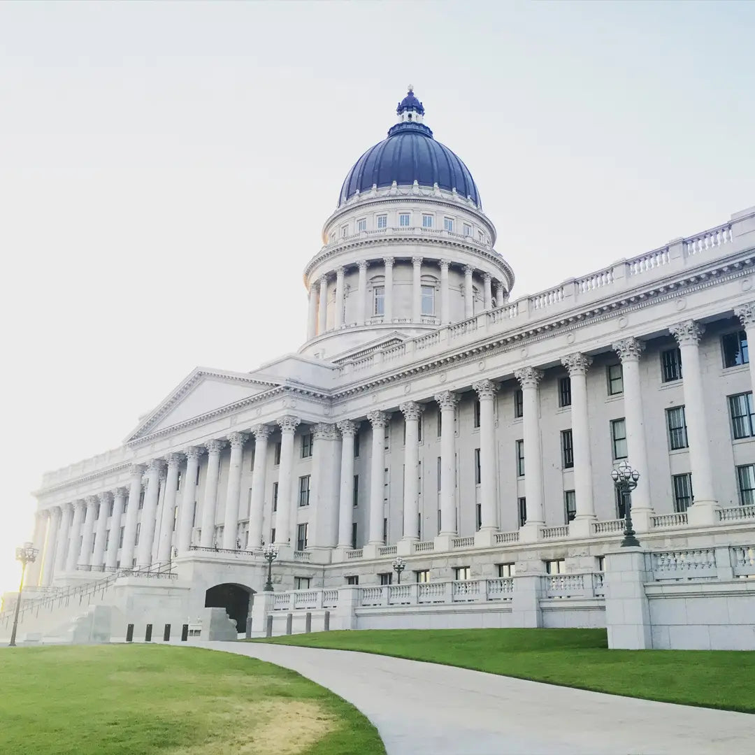 8-Day Yellowstone Immersive Nature Tour| From Los Angeles To Las Vegas | The most comprehensive and longest southern loop