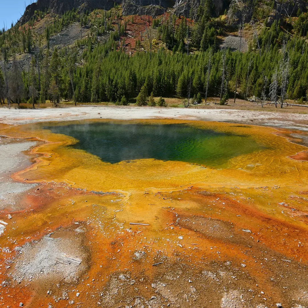 Yellowstone Ultimate Experience: National Parks, Luxury Stays & Iconic Wonders