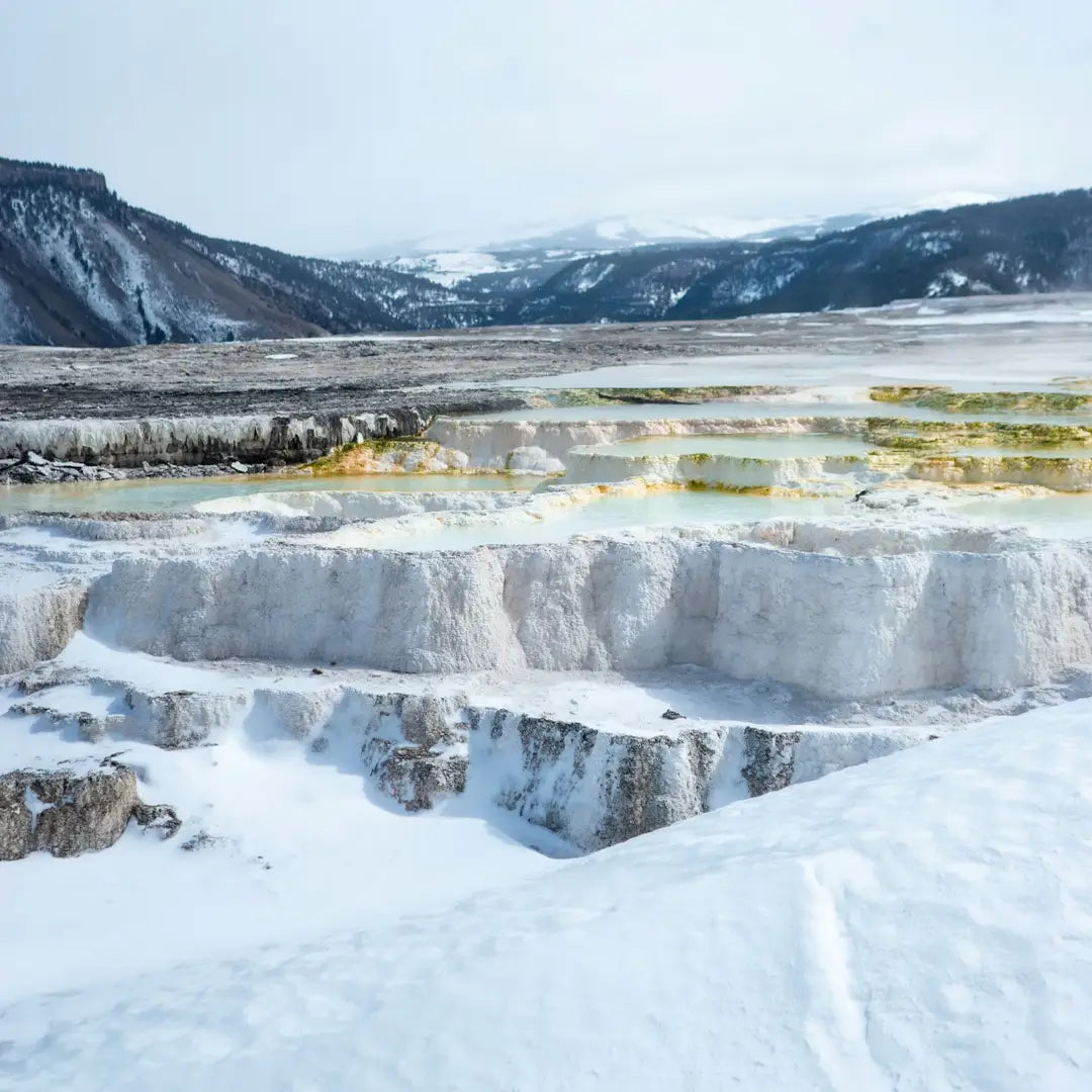 Yellowstone Core Experience: Old Faithful Lodge & Grand Teton
