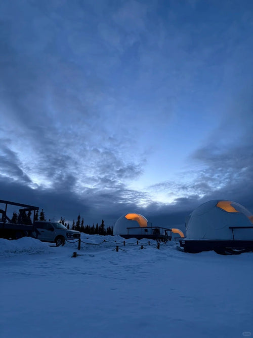Alaska Luxury Boutique Tours Aurora Adventures