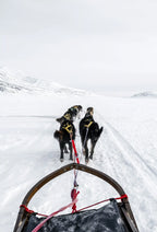 Alaska optional activities