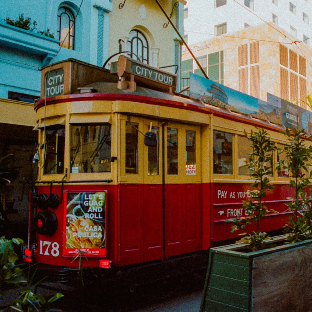 Australia's City Lights & New Zealand's Fjord Voyage