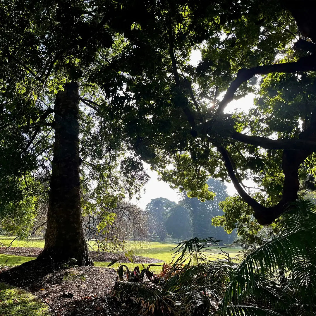 Australia's City Lights & New Zealand's Fjord Voyage