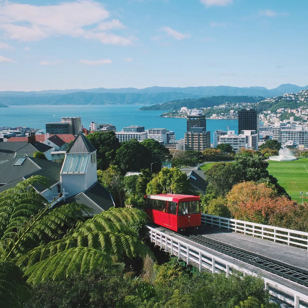 Australia's City Lights & New Zealand's Fjord Voyage