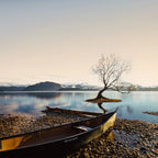 9-Day New Zealand South Island Light Luxury Tour Small Group