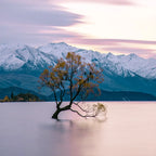 New Zealand South Island Private Chauffeur Car Charter
