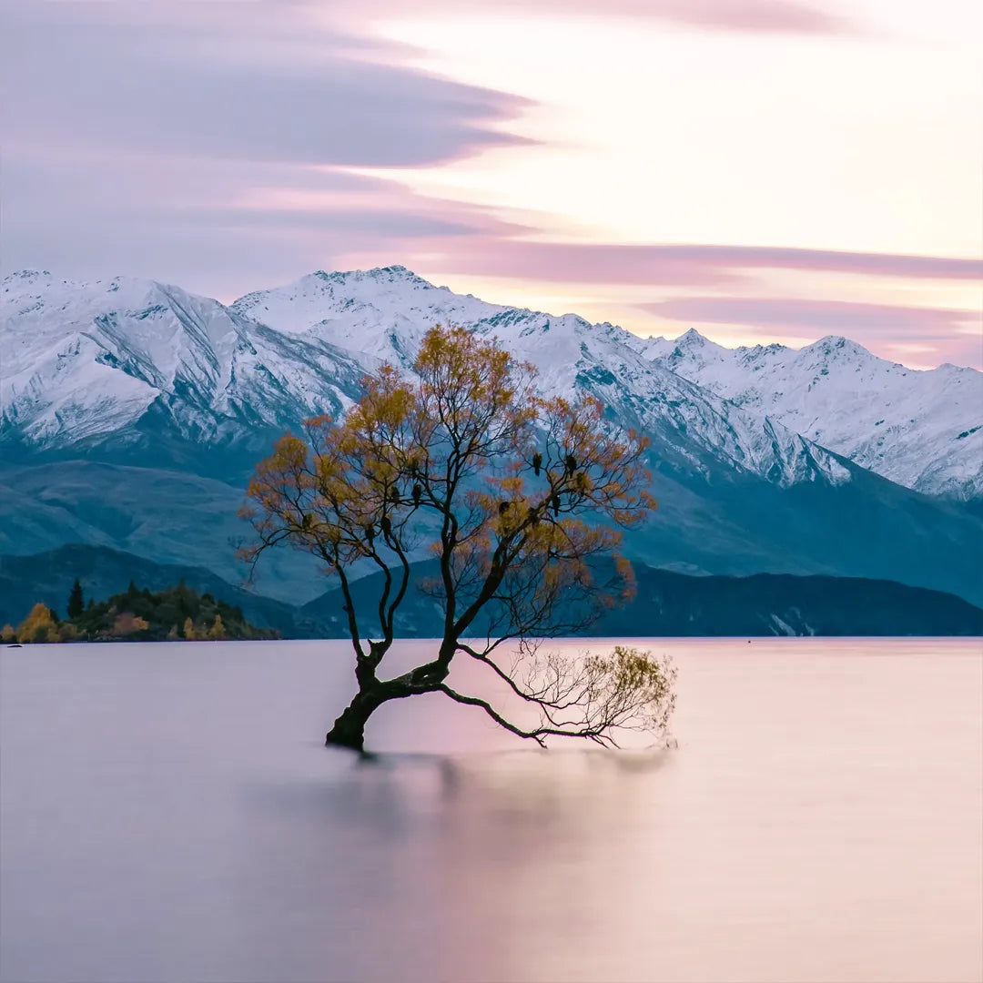 New Zealand South Island Private Chauffeur Car Charter