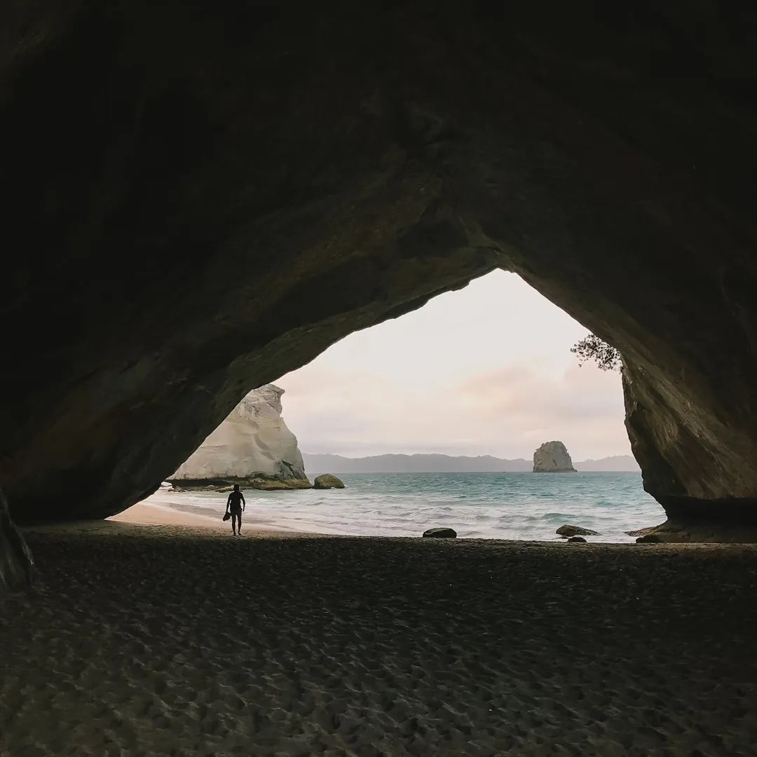 New Zealand North Island Private Chauffeur Car Charter