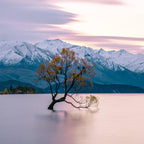 6-Day VIP South Island Tour Small Group Luxury Adventure in New Zealand