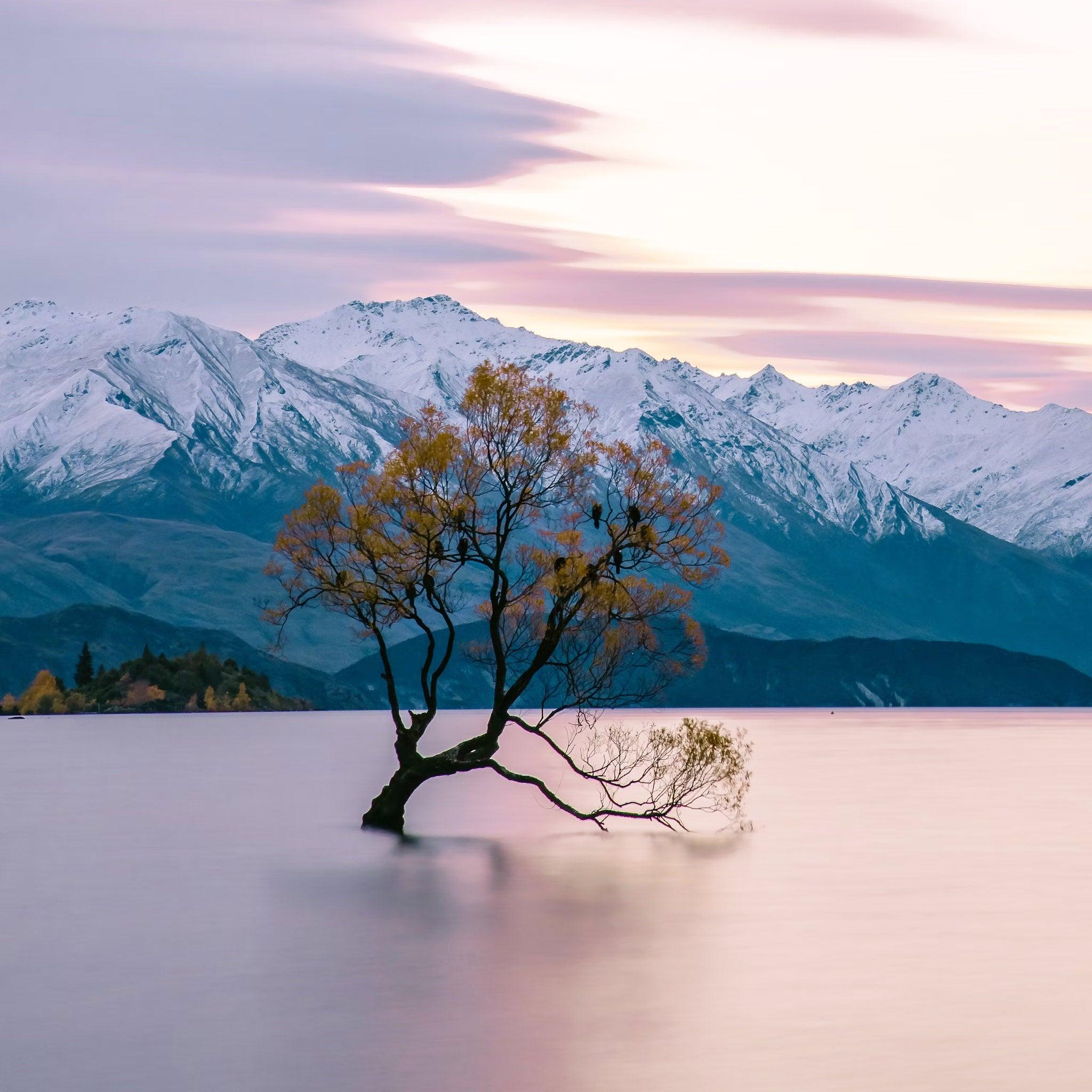 6-Day VIP South Island Tour Small Group Luxury Adventure in New Zealand