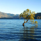 10-Day Ultimate New Zealand South & North Islands Tour
