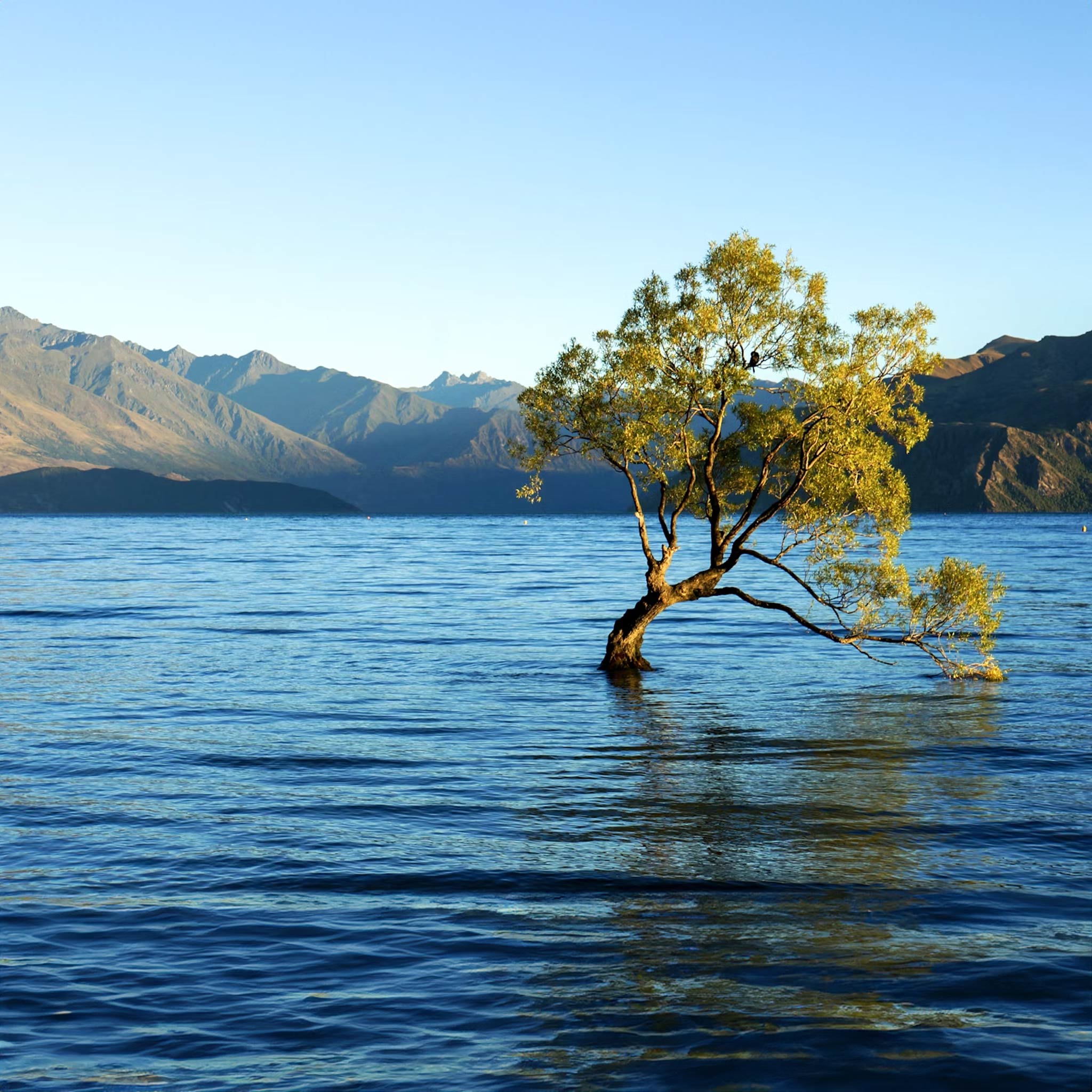 10-Day Ultimate New Zealand South & North Islands Tour