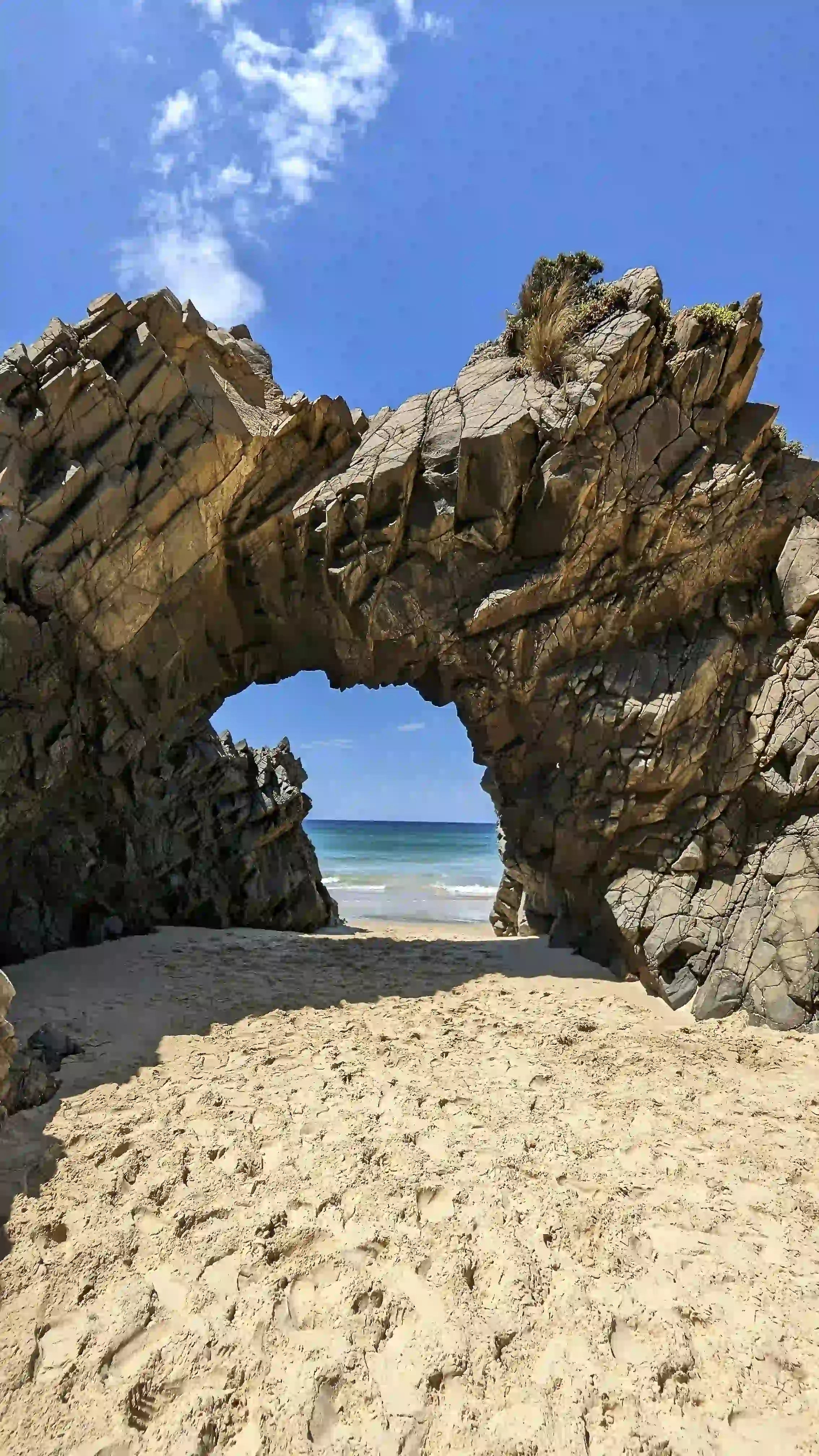 Tasmania Luxury Private Tours with Free Custom Plan & Local Driver-Guides