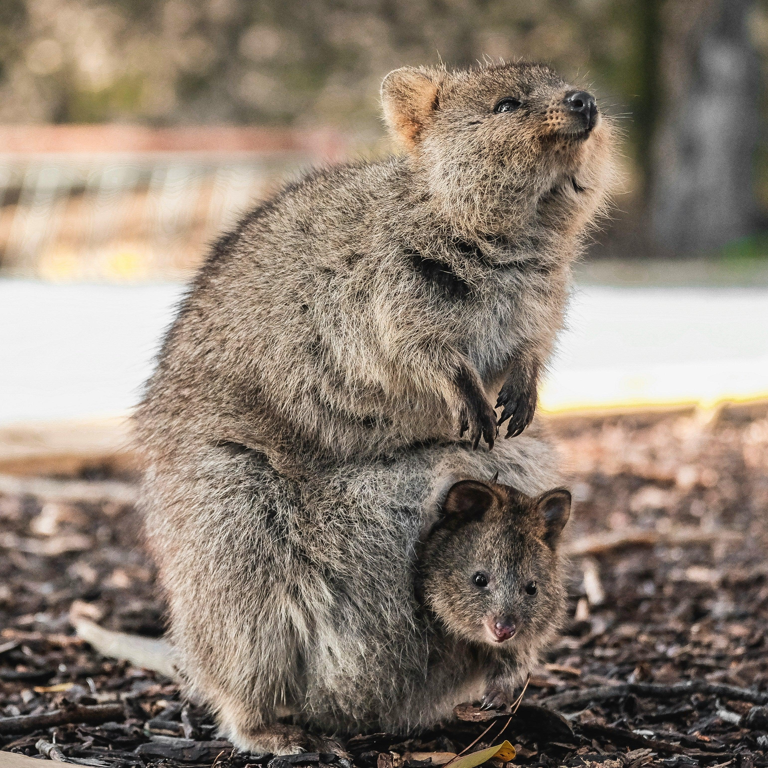 6-Day Western Australia Panorama Tour Adventure