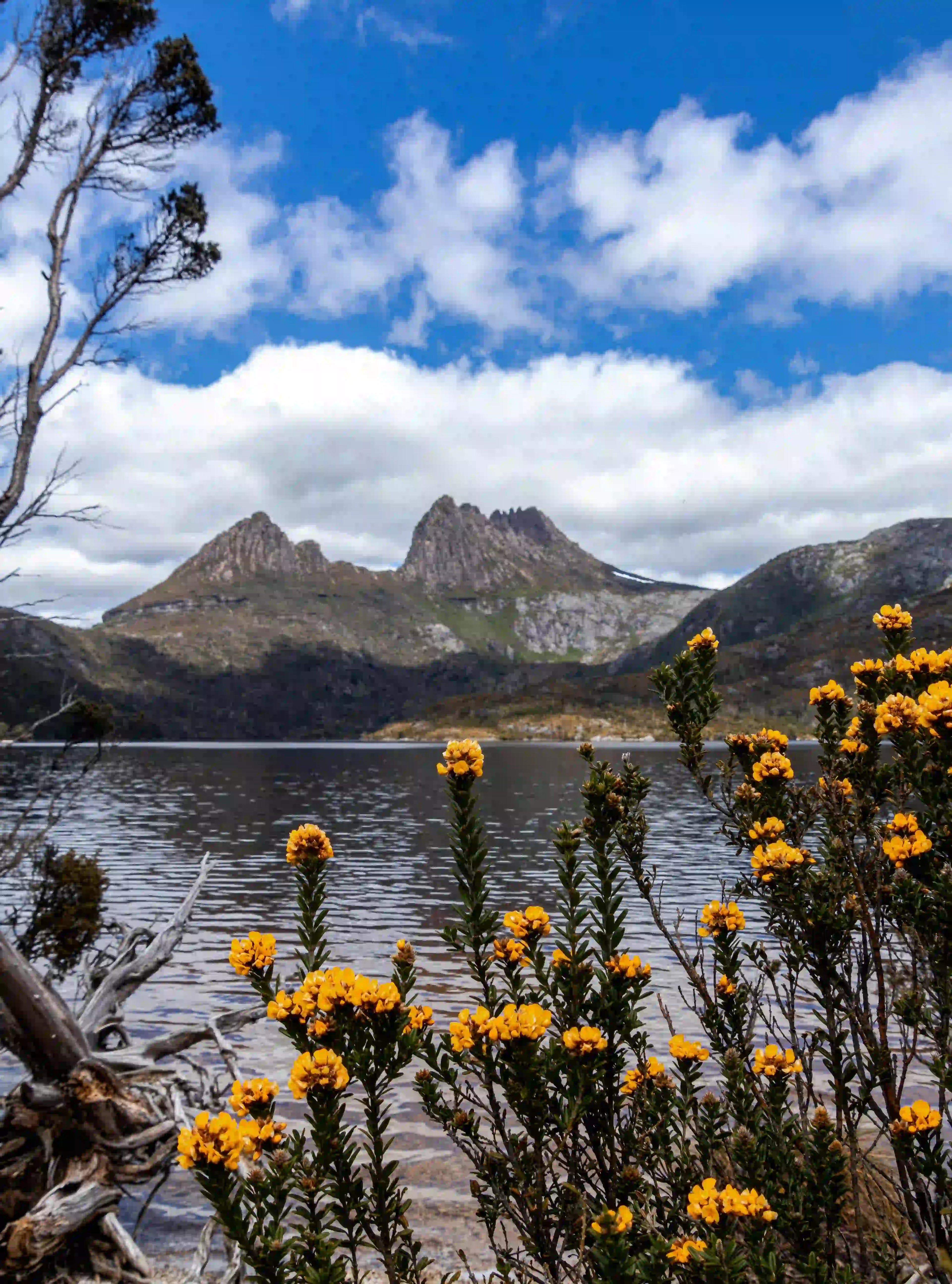 Tasmania Luxury Private Tours Custom