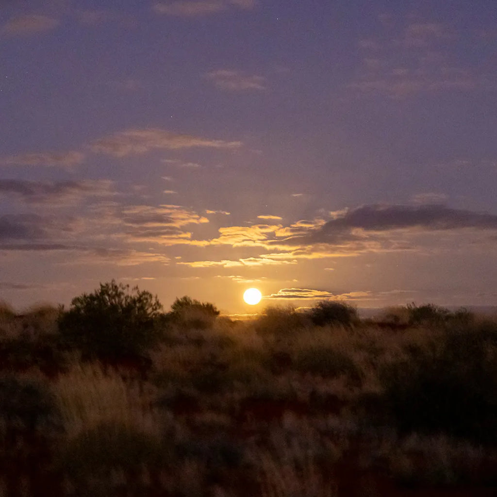 Uluru Astro Tour