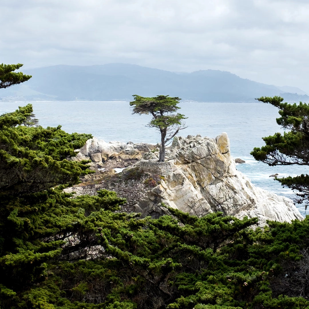 3-Day Pacific Coast Highway Small Group Tour | San Francisco to Los Angeles or Reverse