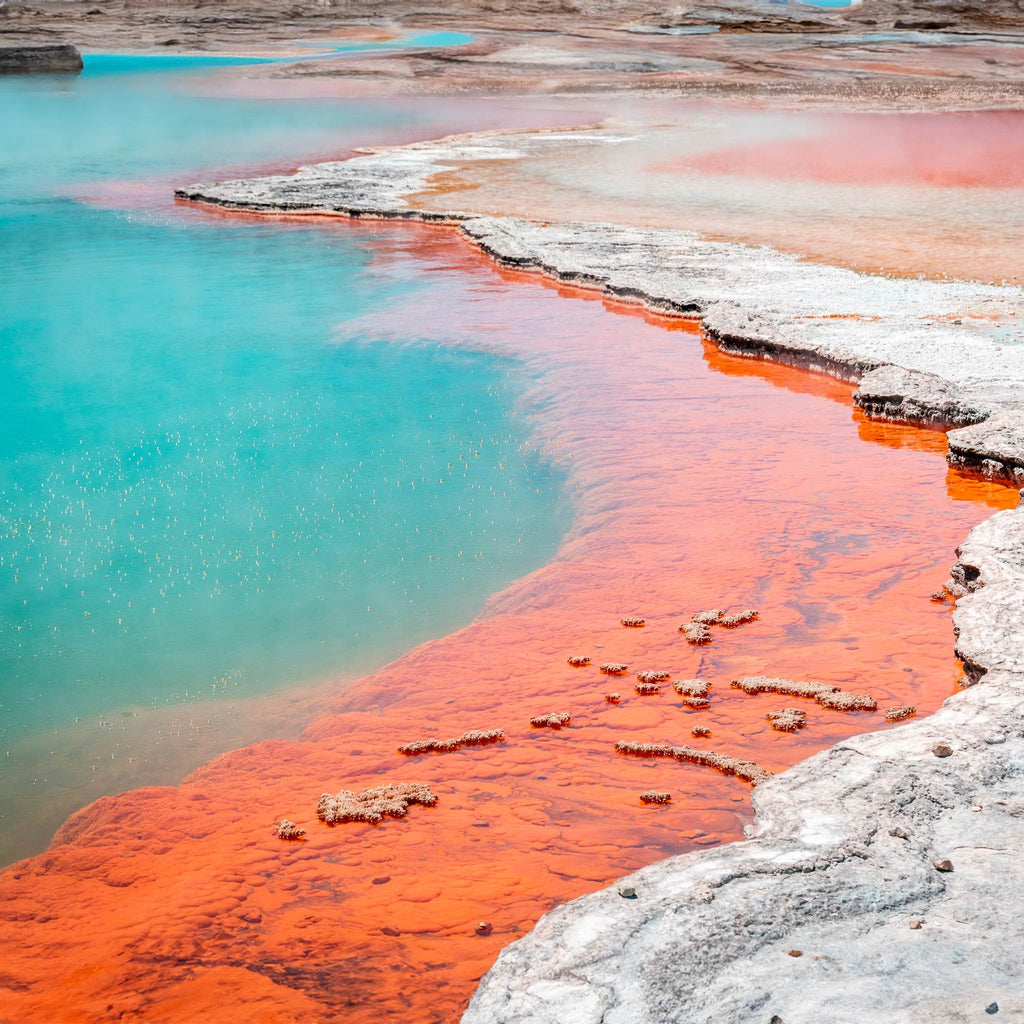 10-Day Ultimate New Zealand South & North Islands Tour