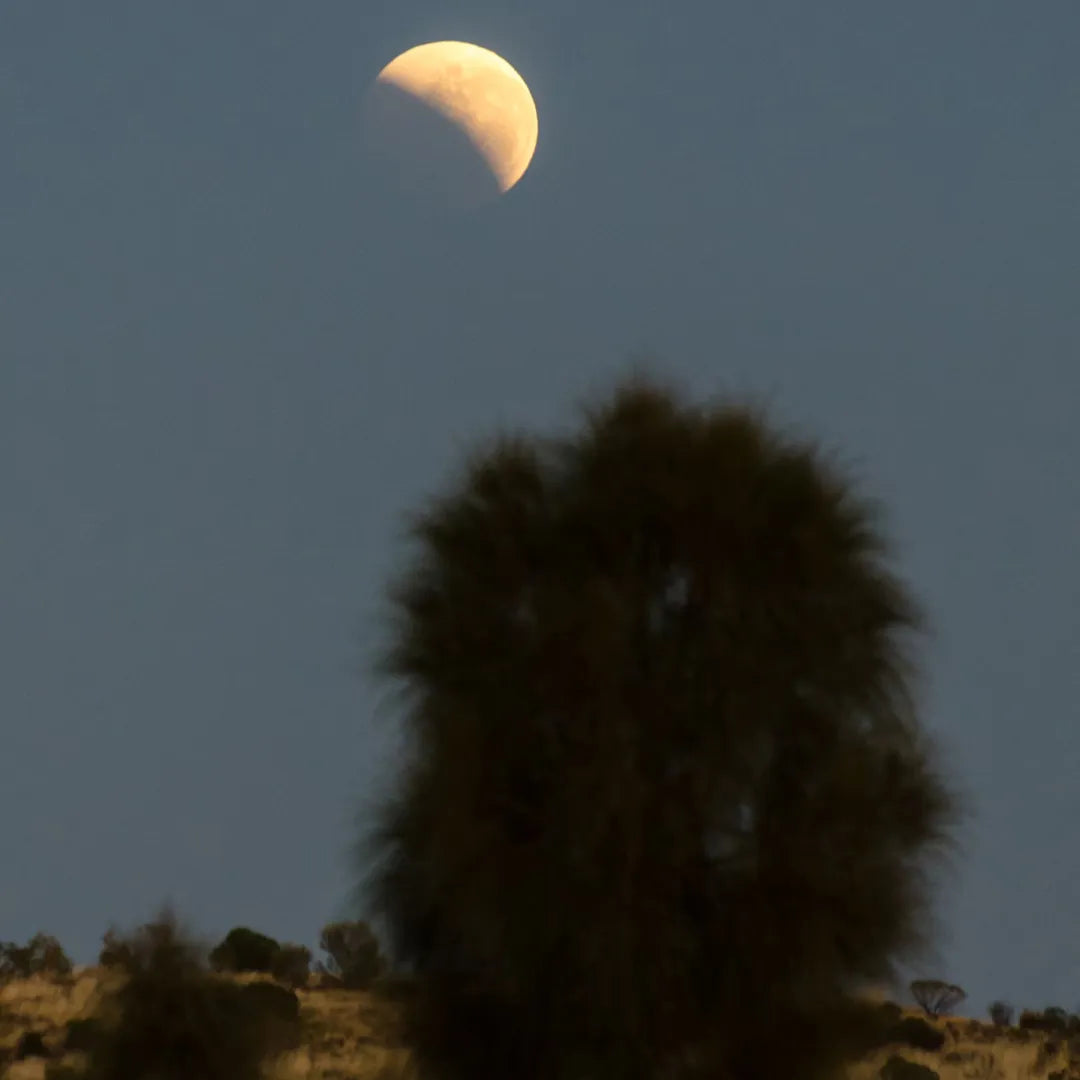 Uluru 4 Day Tour