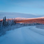 5-Day Arctic Cube Experience | Arctic Circle Adventure & Dog Sledding